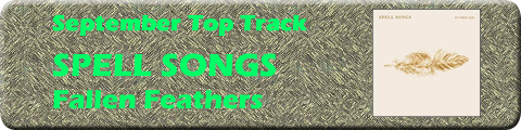 Top Track Link